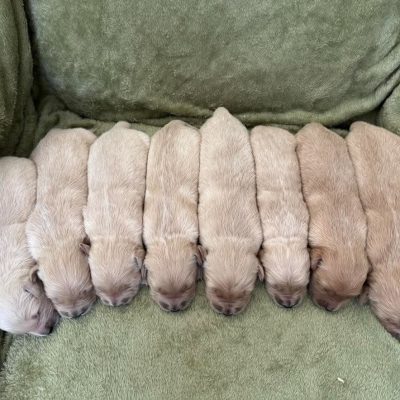 798586680_4049933351809280_5912888270384632419_n