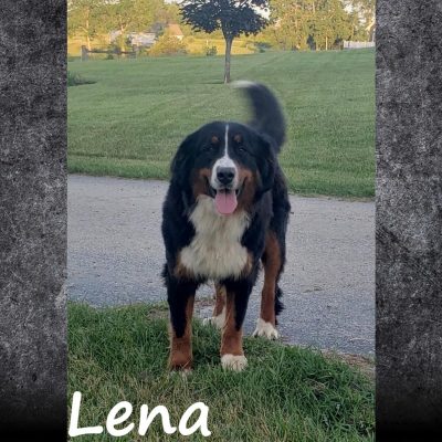 Lena